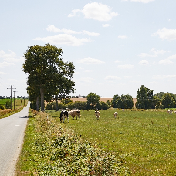 Photo campagne Vitré